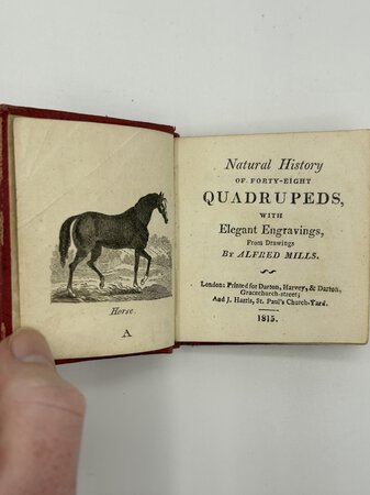NATURAL HISTORY OF FORTY-EIGHT QUADRUPEDS. by MILLS, Alfred.