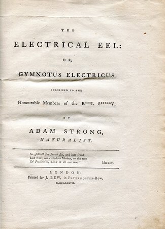 The Electrical Eel Or Gymnotus Electricus Inscribed To The Honourable Justin Croft