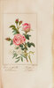 Another image of Histoire des roses... orné de 12 planches, en couleur, dessinées par P. Bessa. by MALO, Charles.