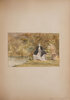 Another image of [Album of watercolours, sketches and lithographs. by BOYLE, Rosalie.