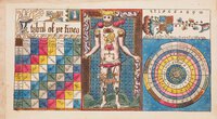 for the Year 1386. Transcribed, verbatim, from the original antique illuminated Manuscript in the Black Letter. Omitting only the monthly Calendars and some of the Tables. Containing many curious Particulars, illustrative of the Astronomy, Astrology, Chronology, History, religious Tenets, and Theory and Practice of Medicine of that Age. by ALMANAC