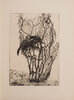 Another image of Aigle ou soleil. by BONA, illustrator. PAZ, Octavio.