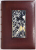 Another image of Les Dimanches parisiens. Notes d’un décadent. by MORIN, Louis. Auguste LEPÈRE, illustrator.