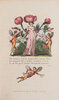 Another image of Festival of Flora. by CRICHTON, Arthur, the reverend.