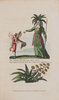 Another image of Festival of Flora. by CRICHTON, Arthur, the reverend.