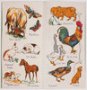 Another image of Tous les animaux. by (DEAN’S RAG BOOK).
