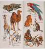Another image of Tous les animaux. by (DEAN’S RAG BOOK).