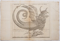 Monstre amphibie trouvé dans le Perou. by (MONSTRE).