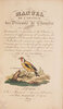 Another image of Manuel de L’amateur des oiseaux de chambre contenant la manière de prendre à la Chasse, de nourrir, d’apprivoiser, d’instruire, de multiplier, d’élever, de traiter dans leurs Maladies... by LA COUPRIÈRE.