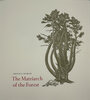 Another image of The Matriarch of the Forest. by RORER, Abigail. LONE OAK PRESS.