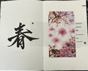 Another image of Enso. Four Haiku for the Seasons. by RICHARD ZAUFT. BASHO, Matsuo.