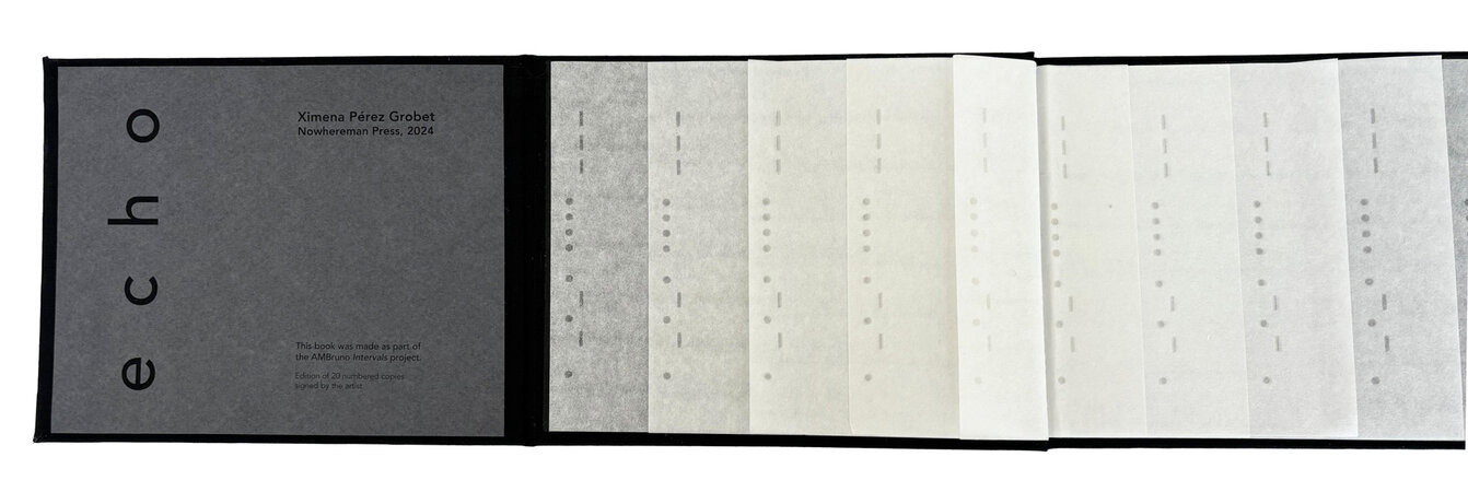 Echo. by NOWHEREMAN PRESS. PEREZ GROBET, Ximena.