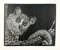 The Animals: The Engravings of Barry Moser, A Tribute. by MOSER, Barry. PENNYROYAL PRESS. STUDLEY, Vance.