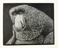 Another image of The Animals: The Engravings of Barry Moser, A Tribute. by MOSER, Barry. PENNYROYAL PRESS. STUDLEY, Vance.