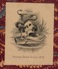 Another image of Brasenose Ale: A Collection of Verses Annually Presented On Shrove Tuesday, By The Butler of Brasenose College, Oxford by BRASENOSE