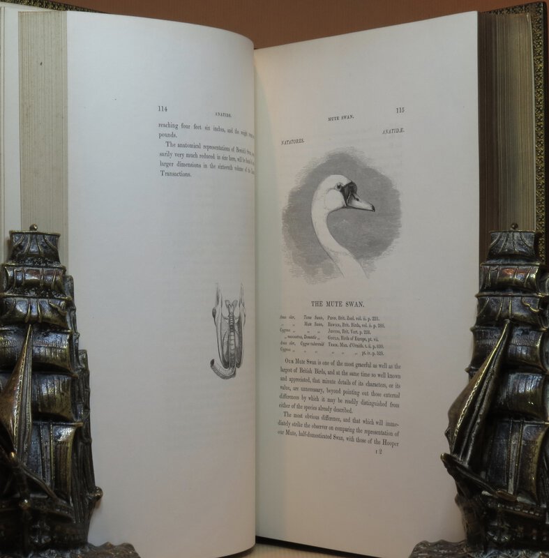 extra large book bolsa