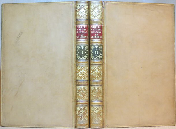 The Natural History of Selborne. by WHITE, The Rev. Gilbert