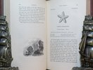 Another image of A History of British Starfishes. by FORBES, Edward