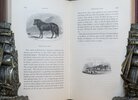 Another image of A History of British Quadrupeds. by BELL, Thomas