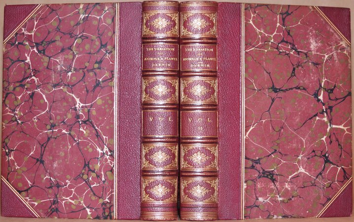 The Variation of Animals and Plants under Domestication. by DARWIN, Charles.