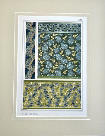 SOLOMON’S SEAL, Art Nouveau Lithographic Print. by By Georges Bourgeot [School of Eugene Grasset]