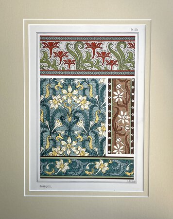 JONQUIL/DAFFODIL Lithograph Print by E. Hervegh [School of Eugene Grasset]