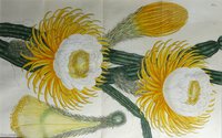 CACTUS GRANDIFLORUS. by ANDREWS, Henry Cranke.