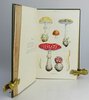 Another image of BRITISH FUNGI. by MASSEE, George.