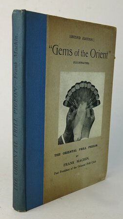 “GEMS OF THE ORIENT” (Illustrated). THE ORIENTAL FRILL PIGEON. by MACHIN, Frank.