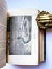 Another image of A History of Architecture by First edition FLETCHER Prof. Banister & FLETCHER Banister F