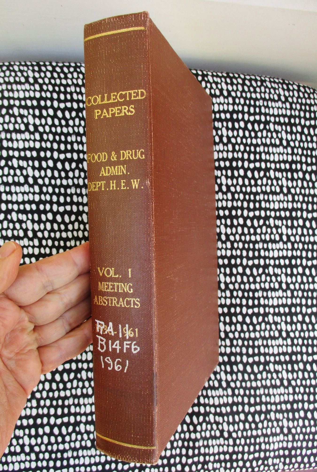 Beneath collected essay skin 08 image