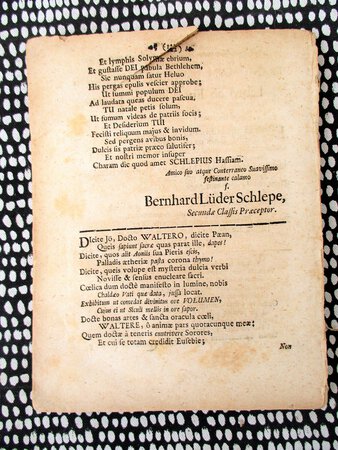 New testament dissertation topics picture