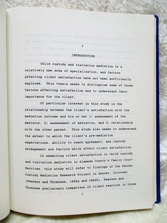 Phd dissertation image