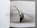 Another image of ANGELO DE SOUSA - PORTUGUESE ARTIST & SCULPTOR Exhibition Catalog of SILVER SCULPTURE 2007 by ANGELO DE SOUSA