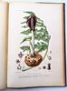 Another image of ARGENTINA PLANTS AND FLOWERS - 800+ PLATES - MONUMENTAL WORK 5 folio Volumes in 7