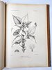 Another image of ARGENTINA PLANTS AND FLOWERS - 800+ PLATES - MONUMENTAL WORK 5 folio Volumes in 7