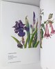 Another image of ALCATRAZ ISLAND FLORILEGIUM Full Color Botanical Illustrations FLOWERS & PLANTS of THE ROCK San Francisco Golden Gate Botany