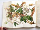 Another image of FLORIST AND HORTICULTURAL JOURNAL 2 Bound Volumes ILLUSTRATED with HAND-COLORED PLATES of PLANTS & FLOWERS Published in Philadelphia 1852 & 1854 by Edited by H. C. Hanson