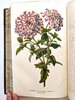 Another image of FLORIST AND HORTICULTURAL JOURNAL 2 Bound Volumes ILLUSTRATED with HAND-COLORED PLATES of PLANTS & FLOWERS Published in Philadelphia 1852 & 1854 by Edited by H. C. Hanson