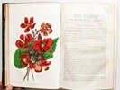 Another image of FLORIST AND HORTICULTURAL JOURNAL 2 Bound Volumes ILLUSTRATED with HAND-COLORED PLATES of PLANTS & FLOWERS Published in Philadelphia 1852 & 1854 by Edited by H. C. Hanson