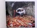 Another image of Andy Goldsworthy SIGNED Two Autumns UNCOMMON Exhibition Catalogue by Andy Goldsworthy