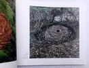 Another image of Andy Goldsworthy SIGNED Two Autumns UNCOMMON Exhibition Catalogue by Andy Goldsworthy