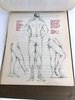 Another image of COLLECTION OF ORIGINAL ANATOMICAL DRAWINGS Handmade 1950 ANATOMY Artists BOOK by Female ART STUDENT Oakland California by Louise Fairbanks Williams