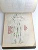 Another image of COLLECTION OF ORIGINAL ANATOMICAL DRAWINGS Handmade 1950 ANATOMY Artists BOOK by Female ART STUDENT Oakland California by Louise Fairbanks Williams
