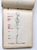 Another image of COLLECTION OF ORIGINAL ANATOMICAL DRAWINGS Handmade 1950 ANATOMY Artists BOOK by Female ART STUDENT Oakland California by Louise Fairbanks Williams