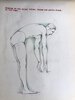 Another image of COLLECTION OF ORIGINAL ANATOMICAL DRAWINGS Handmade 1950 ANATOMY Artists BOOK by Female ART STUDENT Oakland California by Louise Fairbanks Williams