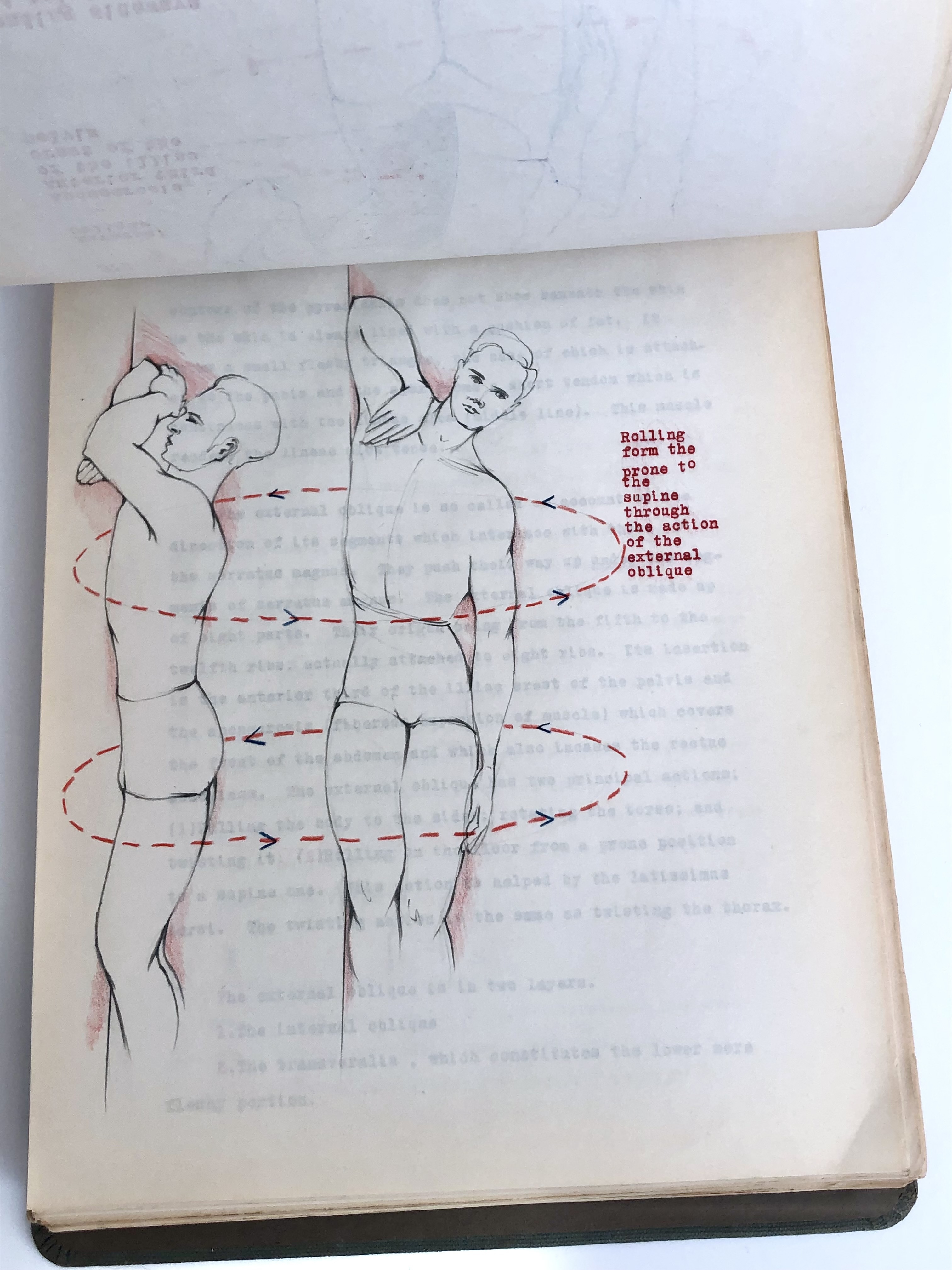 COLLECTION OF ORIGINAL ANATOMICAL DRAWINGS Handmade 1950 ANATOMY ...