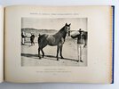 Another image of ANDALUSIAN HORSE REMOUNT & BREEDING in SPAIN for use in the SPANISH-AMERICAN WAR Illustrated with 169 PHOTOGRAPHS - CRÍA CABALLAR Y REMONTA DEL ESTADO - Published by the MINISTRY OF WAR, MADRID, SPAIN 1899 by Spanish Ministry of War