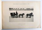 Another image of ANDALUSIAN HORSE REMOUNT & BREEDING in SPAIN for use in the SPANISH-AMERICAN WAR Illustrated with 169 PHOTOGRAPHS - CRÍA CABALLAR Y REMONTA DEL ESTADO - Published by the MINISTRY OF WAR, MADRID, SPAIN 1899 by Spanish Ministry of War