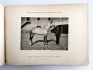 Another image of ANDALUSIAN HORSE REMOUNT & BREEDING in SPAIN for use in the SPANISH-AMERICAN WAR Illustrated with 169 PHOTOGRAPHS - CRÍA CABALLAR Y REMONTA DEL ESTADO - Published by the MINISTRY OF WAR, MADRID, SPAIN 1899 by Spanish Ministry of War